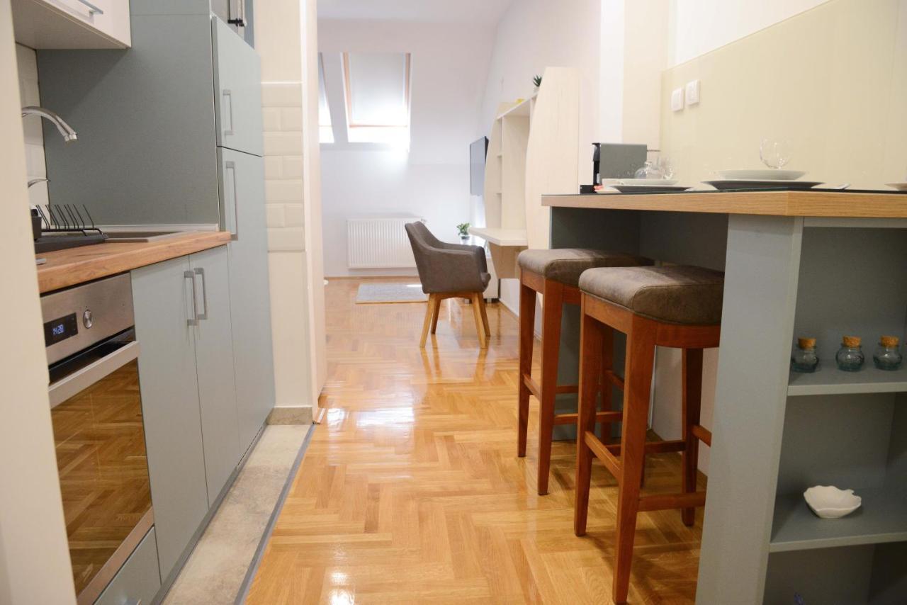 Anna Apartment โนวีซาด ภายนอก รูปภาพ