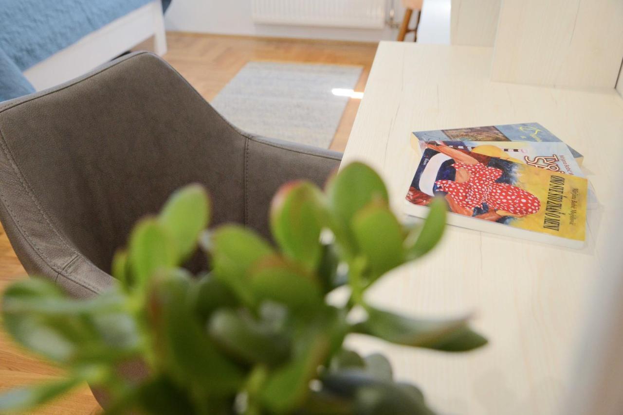 Anna Apartment โนวีซาด ภายนอก รูปภาพ